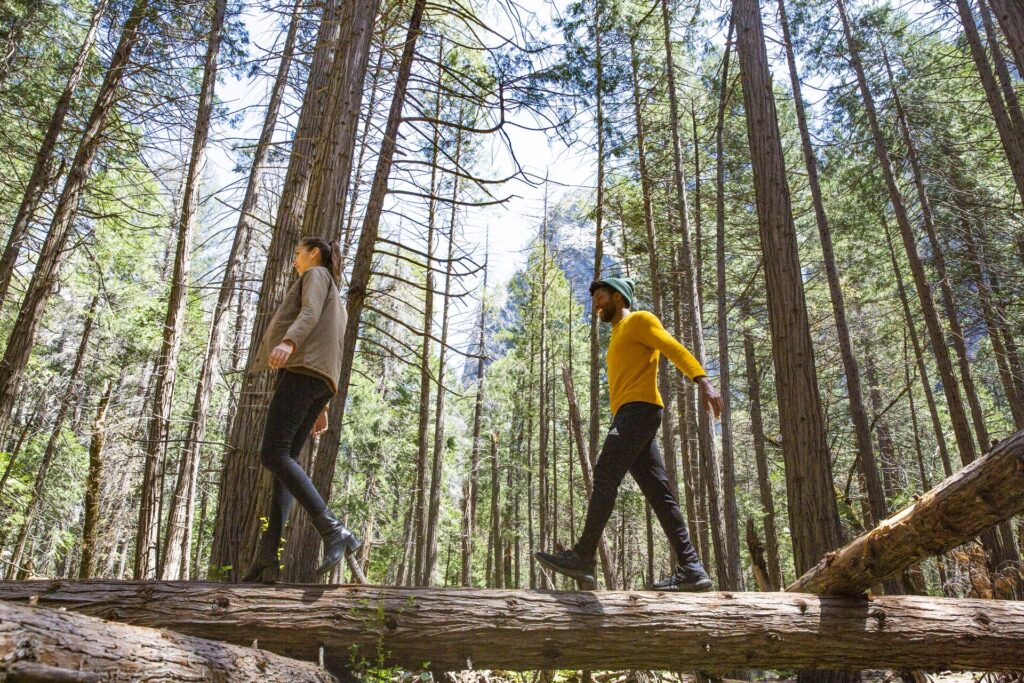 man and women walking across a log in the woods